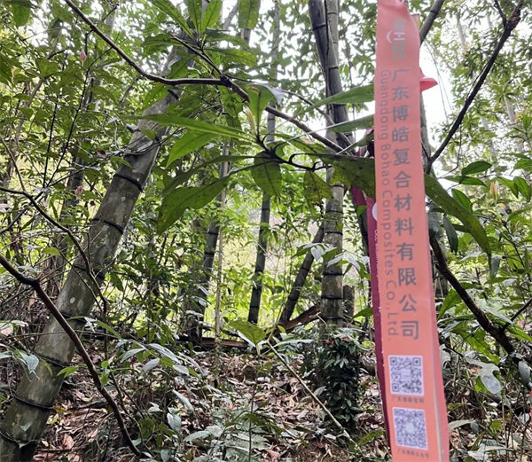凝心聚力再出發(fā)，風(fēng)雨同舟赴星溪！--廣東博皓2024龍年首登星溪之旅     -2