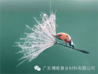 【博皓感悟】成功，要“借力”，不要“盡力”