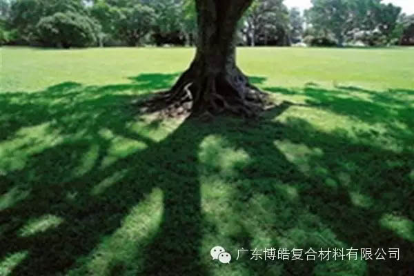 【博皓感悟】欲為大樹，莫與草爭-6